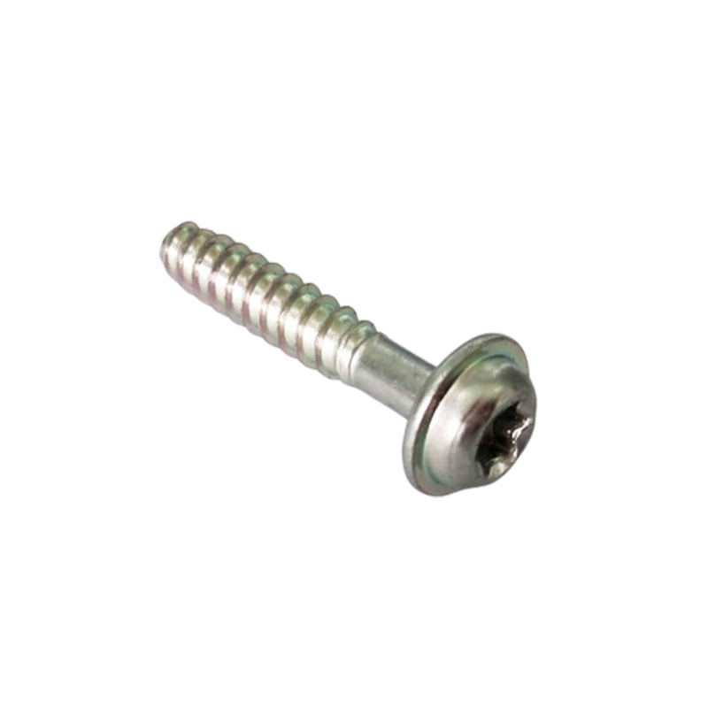 Torx Pan Head Tapping Screw With Pad